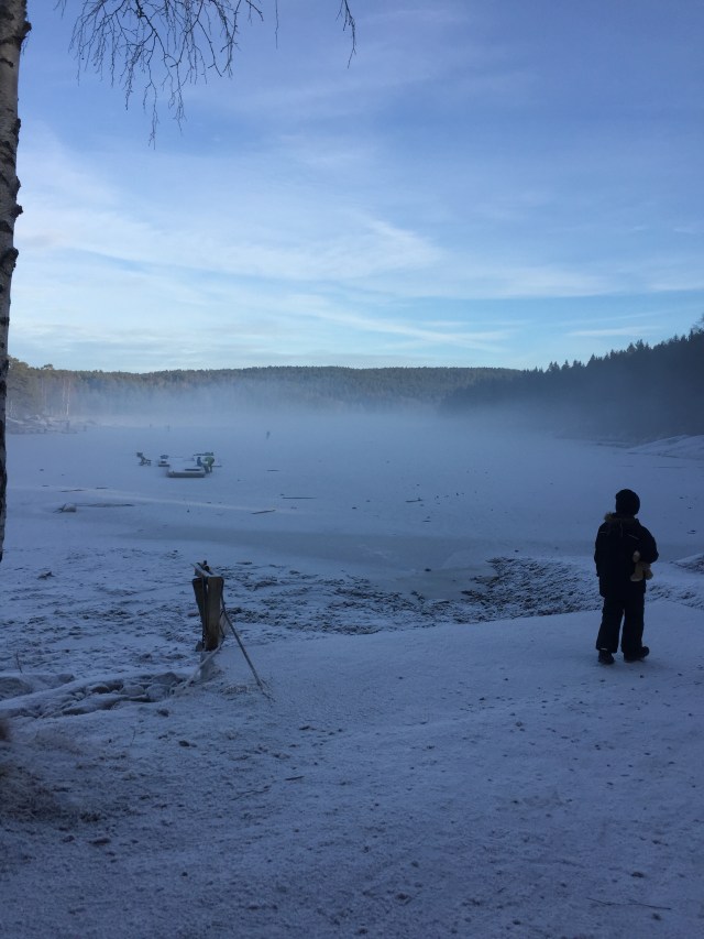 Udsigt over en tåget Nøklevatn