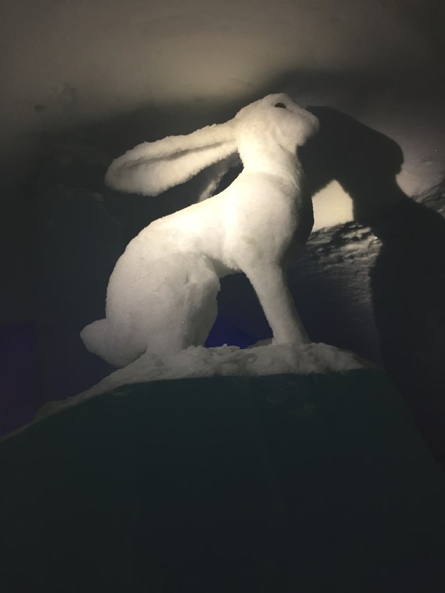 2FBEF641-C51E-49AA-8627-D7635E9AE710