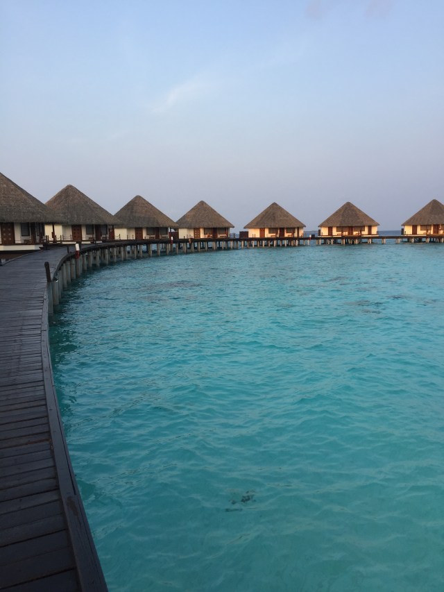 066E05FF-1896-40B7-ACAD-E3EE977A936B