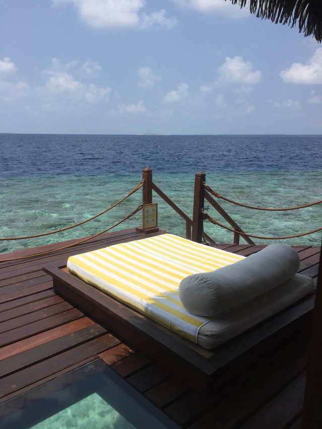 80A7B0B6-E4D8-4ADE-ADA6-9E63764D9B11