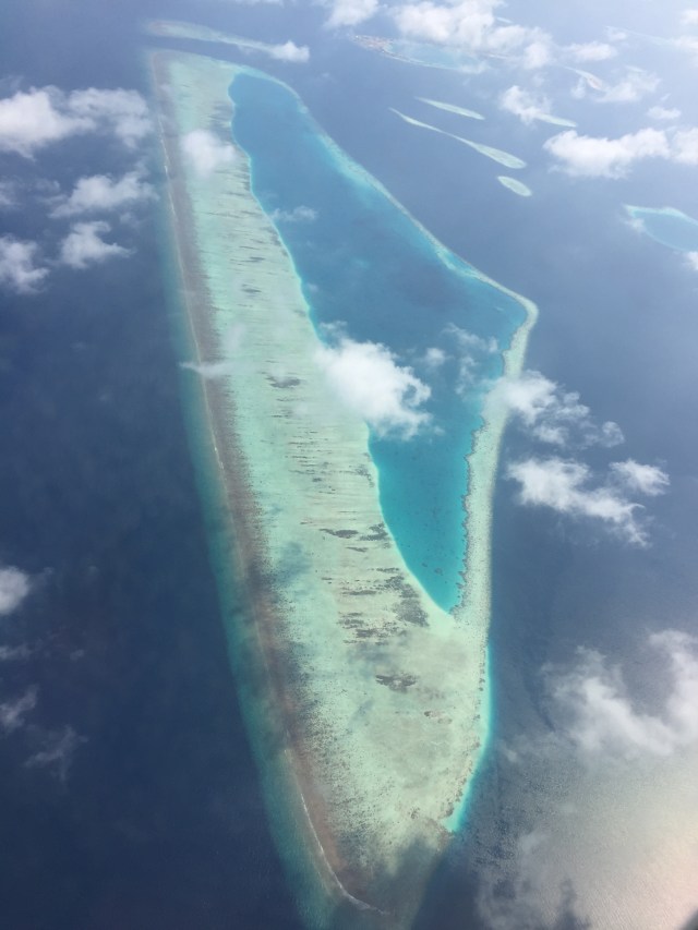 B4E6E021-67F8-43F1-B2A2-5206C3F16216