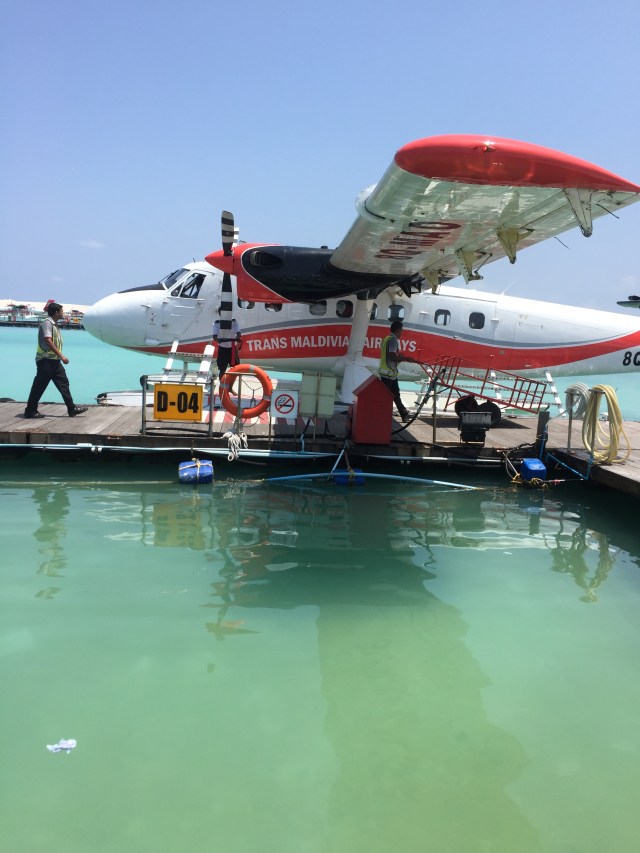 EE21BE40-1B3F-448F-91DC-4BCD295E767E