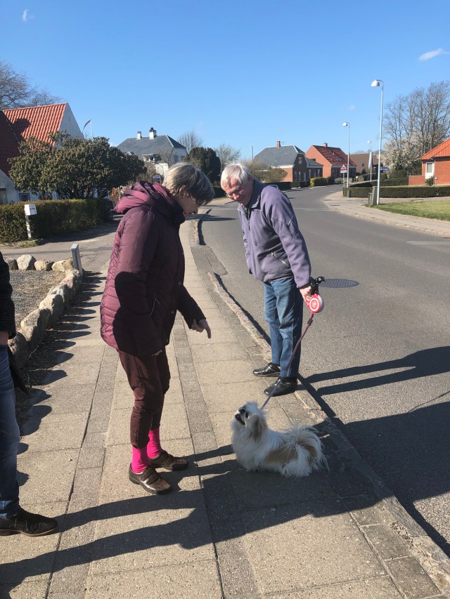 7C44C5EC-4B84-43DC-95ED-51169FE8A1D7